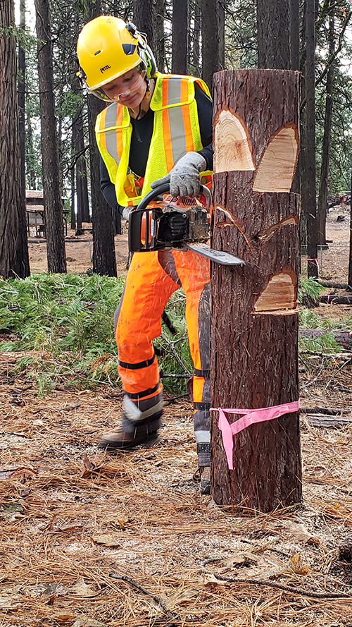 student arborist