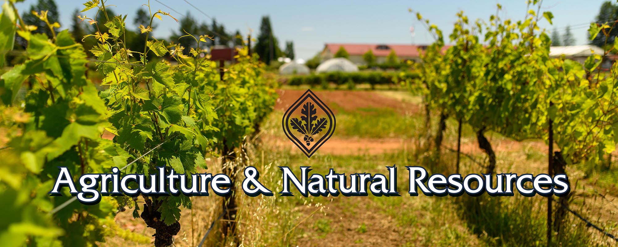 Agriculture & Natural Resources