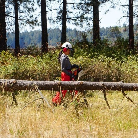 Student with chainsaw